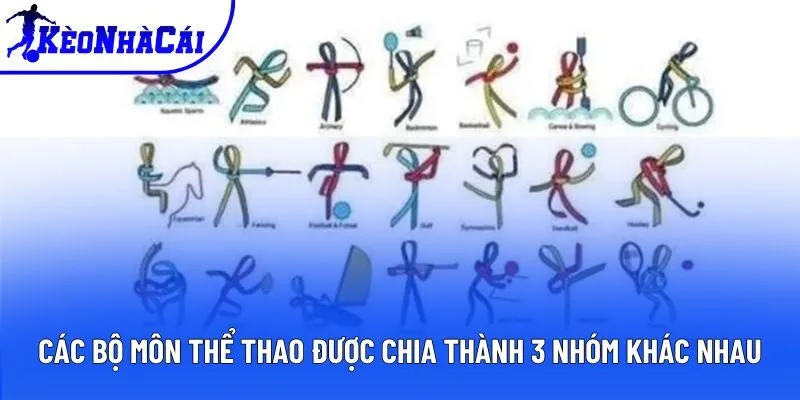 Các bộ môn thể thao được chia thành 3 nhóm khác nhau